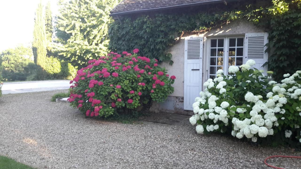 Bed and Breakfast Domaine De L'Oiseau Gergy Экстерьер фото
